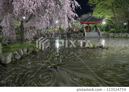 The flower raft of Gifu Park 113524759