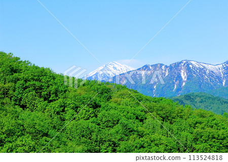 春天的青木湖和北阿爾卑斯山 美麗的北阿爾卑斯山 春天的青木湖和北阿爾卑斯山 美麗的北阿爾卑斯山 113524818