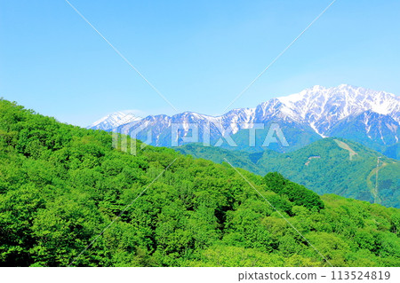 春天的青木湖和北阿爾卑斯山 美麗的北阿爾卑斯山 春天的青木湖和北阿爾卑斯山 美麗的北阿爾卑斯山 113524819