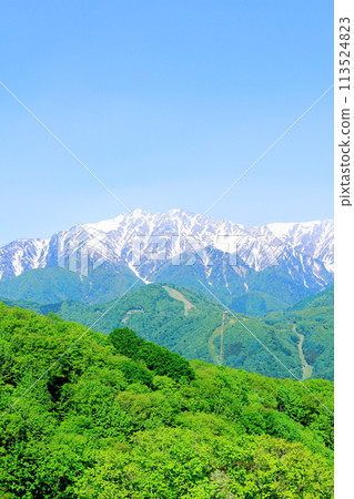 春天的青木湖和北阿爾卑斯山 美麗的北阿爾卑斯山 春天的青木湖和北阿爾卑斯山 美麗的北阿爾卑斯山 113524823