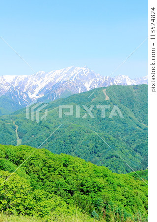 春天的青木湖和北阿爾卑斯山 美麗的北阿爾卑斯山 113524824