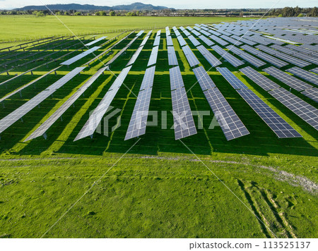 Solar panels on field in summer, aerial drone view Solar panels on field in summer, aerial drone view 113525137