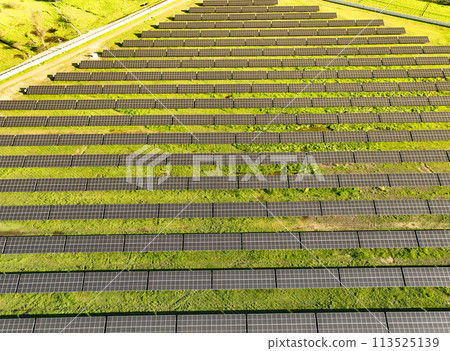 Solar panels on field in summer, aerial drone view Solar panels on field in summer, aerial drone view 113525139