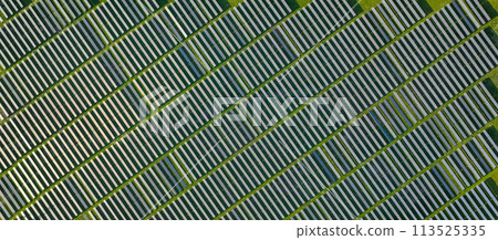 Solar panels on field in summer, aerial drone view Solar panels on field in summer, aerial drone view 113525335