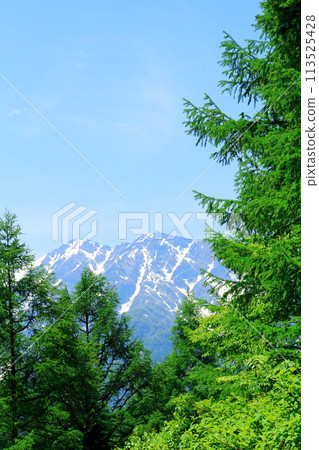Mount Jigatake and Mount Kashima-yari from the Kashima-yari Ski Resort in June: The beautiful Northern Alps Mount Jigatake and Mount Kashima-yari from the Kashima-yari Ski Resort in June: The beautiful Northern Alps 113525428