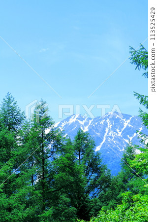 六月從鹿島舞滑雪場出發的雞嶽山和鹿島岳岳 美麗的北阿爾卑斯山 六月從鹿島舞滑雪場出發的雞嶽山和鹿島岳岳 美麗的北阿爾卑斯山 113525429