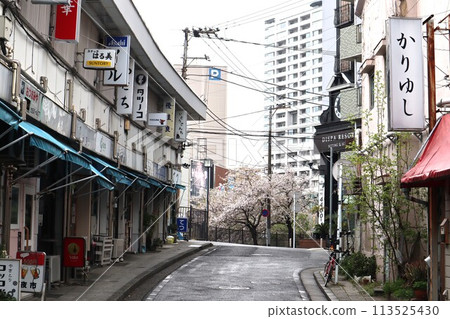 櫻花盛開時的宮古橋商店街（神奈川縣橫濱市中區宮川町1丁目） 113525430