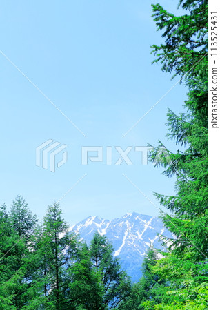 六月從鹿島舞滑雪場出發的雞嶽山和鹿島岳岳 美麗的北阿爾卑斯山 六月從鹿島舞滑雪場出發的雞嶽山和鹿島岳岳 美麗的北阿爾卑斯山 113525431