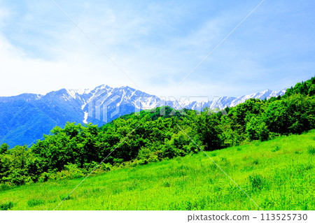 六月從鹿島舞滑雪場出發的雞嶽山和鹿島岳岳 美麗的北阿爾卑斯山 六月從鹿島舞滑雪場出發的雞嶽山和鹿島岳岳 美麗的北阿爾卑斯山 113525730