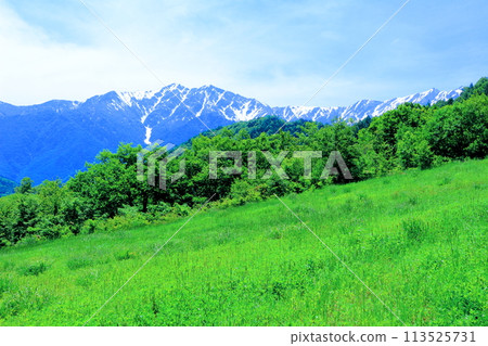 六月從鹿島舞滑雪場出發的雞嶽山和鹿島岳岳 美麗的北阿爾卑斯山 六月從鹿島舞滑雪場出發的雞嶽山和鹿島岳岳 美麗的北阿爾卑斯山 113525731