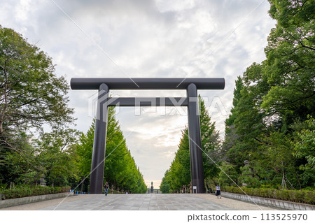 Tokyo: Evening sky and the first torii gate of Yasukuni Shrine Tokyo: Evening sky and the first torii gate of Yasukuni Shrine 113525970