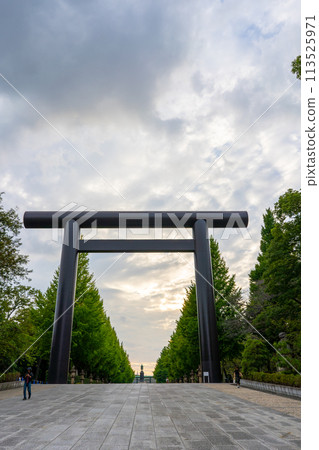 Tokyo: Evening sky and the first torii gate of Yasukuni Shrine Tokyo: Evening sky and the first torii gate of Yasukuni Shrine 113525971