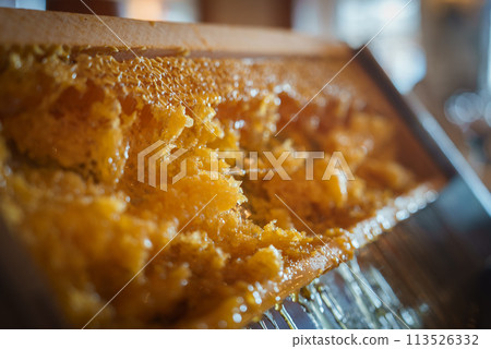 Close up view of honeycomb with dripping honey, revealing intricate hexagonal cells. Natural, rustic setting with warm tones and blurred background. No specific location shown. Close up view of honeycomb with dripping honey, revealing intricate hexagonal cells. Natural, rustic setting with warm tones and blurred background. No specific location shown. 113526332