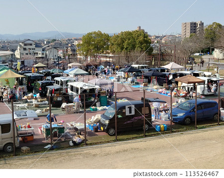 Flea market in spring / Spring flea market venue (full view) 113526467