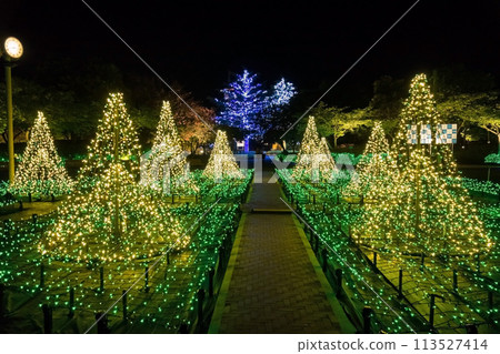 Nabana no Sato Illumination (Nagashima Resort, Kuwana City, Mie Prefecture) Nabana no Sato Illumination (Nagashima Resort, Kuwana City, Mie Prefecture) 113527414