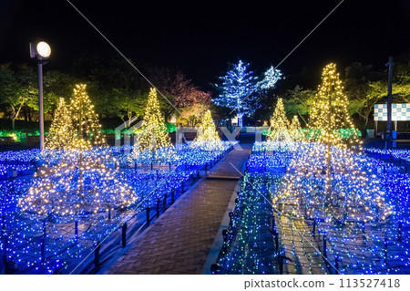 名花之裡燈飾《三重縣桑名市長島度假村》 名花之裡燈飾《三重縣桑名市長島度假村》 113527418