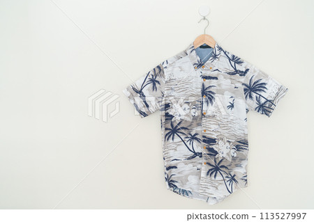Hawaii shirt hanging on wall 113527997