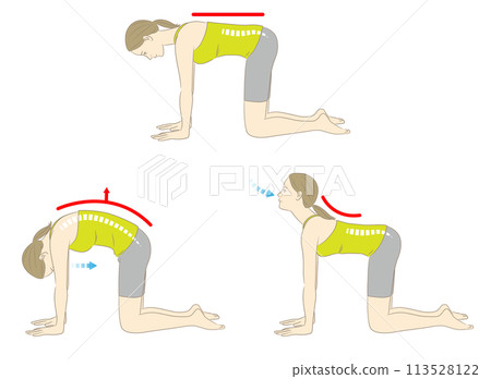 Cat and Cow, Woman in Yoga Pose 113528122