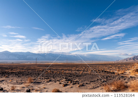 Lone pine California 113528164