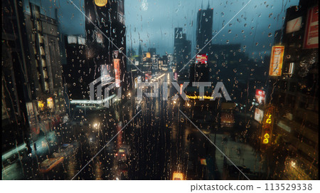 透過玻璃看到雨夜的城市景色 113529338