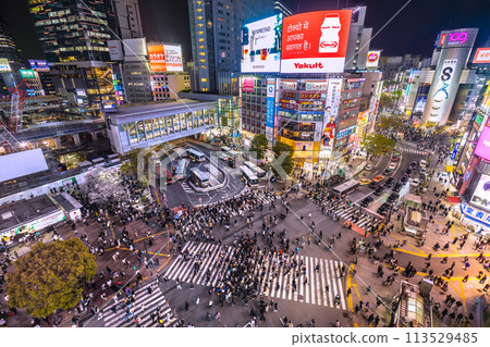 Tokyo cityscape in Japan Cherry blossoms... Inbound tourism revival... Shibuya bustling with foreign tourists... Cherry blossoms in full bloom. Towards an era of hope = April 5th 113529485