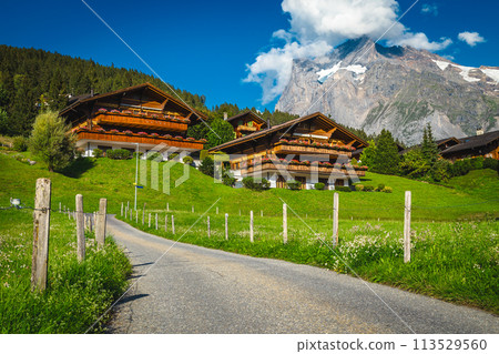 Wooden houses and flowery gardens on the slope, Grindelwald, Switzerland Wooden houses and flowery gardens on the slope, Grindelwald, Switzerland 113529560
