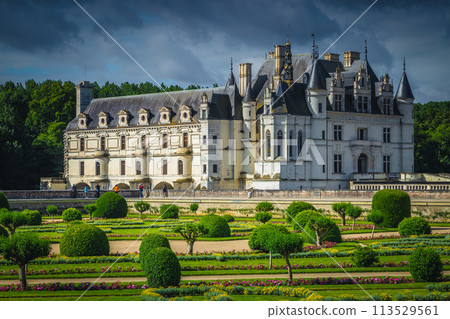 Spectacular bushes in the ornamental garden of Chenonceau castle, France Spectacular bushes in the ornamental garden of Chenonceau castle, France 113529561
