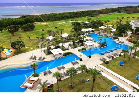 ANA Intercontinental Ishigaki Resort Garden 113529833