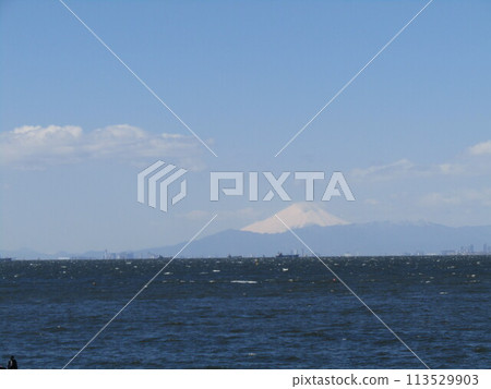 Mt. Fuji seen across Tokyo Bay from Kemigawahama Mt. Fuji seen across Tokyo Bay from Kemigawahama 113529903