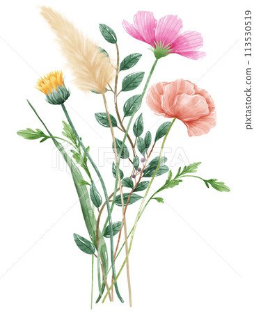 Handdrawn watercolor illustration clipart of detailed Spring Wildflowers meadow bouquets collection Floral arrangements greeting cards wedding invitation Elegant ethereal nature 113530519