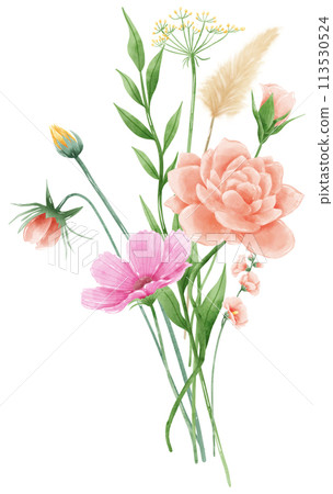 Handdrawn watercolor illustration clipart of detailed Spring Wildflowers meadow bouquets collection Floral arrangements greeting cards wedding invitation Elegant ethereal nature Handdrawn watercolor illustration clipart of detailed Spring Wildflowers meadow bouquets collection Floral arrangements greeting cards wedding invitation Elegant ethereal nature 113530524