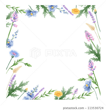 Handdrawn watercolor illustration clipart of detailed Spring Wildflowers meadow frame border collection Floral arrangements greeting cards wedding invitation Elegant ethereal nature 113530724