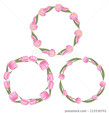 Hand-Drawn Pink Tulips - Spring Flower Illustration 113530741