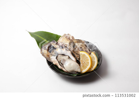 新鮮生牡蠣 113531002