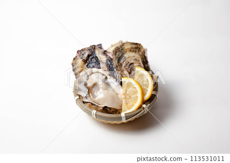 Fresh raw oysters 113531011