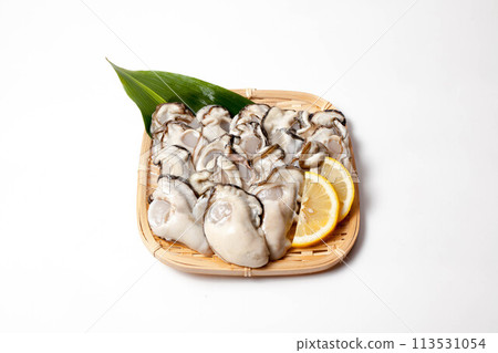 Raw oysters in a colander 113531054