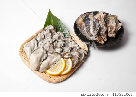 Raw oysters in a colander 113531065