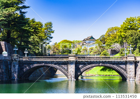 皇居（江戶城）伏見櫓和二重橋是東京的標準觀光景點【東京風景】 113531450