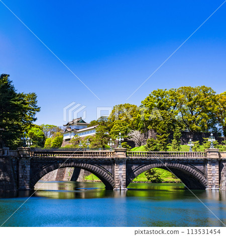 皇居（江戶城）伏見櫓和二重橋是東京的標準觀光景點【東京風景】 113531454