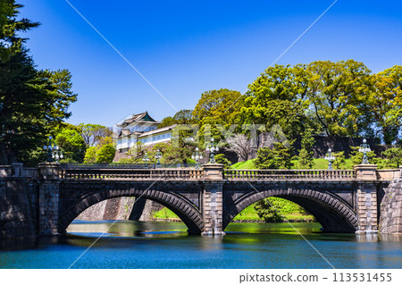The Imperial Palace (Edo Castle), Fushimi Tower and Nijubashi Bridge are popular sightseeing spots in Tokyo. [Tokyo scenery] 113531455