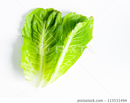 Fresh green cos lettuce leaf isolate on white background. Fresh green cos lettuce leaf isolate on white background. 113531494