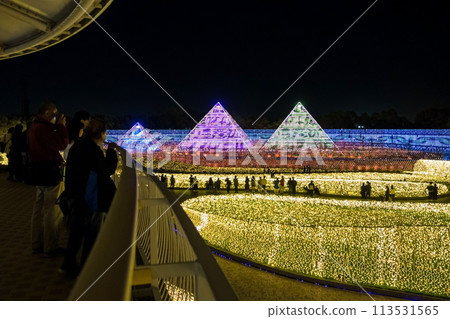 Nabana no Sato Illumination and Golden Pyramid (Nagashima Resort, Kuwana City, Mie Prefecture) 113531565
