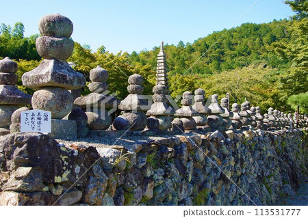 Adashino Nenbutsuji 寺的石牆和塔 113531777