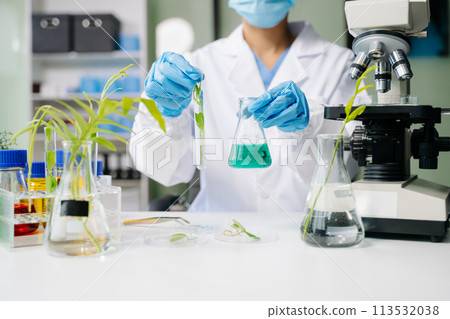 Biologist taking experiment with plants working in biochemistry laboratory. Biologist taking experiment with plants working in biochemistry laboratory. 113532038