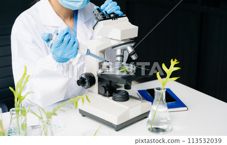 Biologist taking experiment with plants working in biochemistry laboratory. 113532039