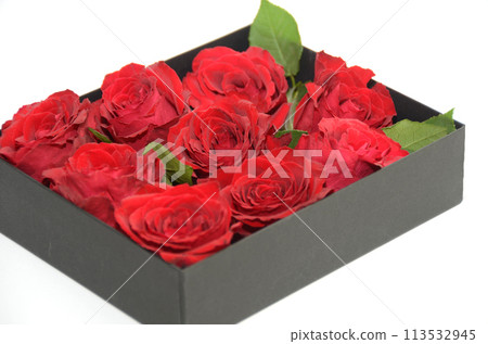A black box containing a red rose on a white background A black box containing a red rose on a white background 113532945