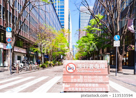 Marunouchi Nakadori Urban Terrace is a pedestrian precinct on the main street. [Tokyo scenery] 113533594