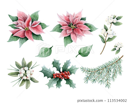 Christmas winter florals, plants, berries and fir branches watercolor illustration set of elements isolated on white. Hand drawn poinsettia, snowberry and holly for holiday season designs Christmas winter florals, plants, berries and fir branches watercolor illustration set of elements isolated on white. Hand drawn poinsettia, snowberry and holly for holiday season designs 113534002