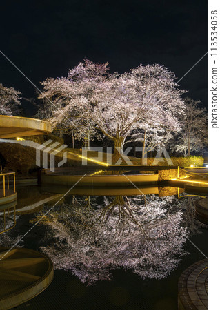 國立陸奧湖畔公園 夜間櫻花燈飾「陸奧花燈」 宮城縣川崎町 113534058