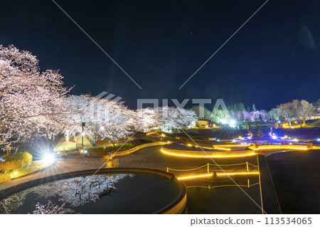 國立陸奧湖畔公園 夜間櫻花燈飾「陸奧花燈」 宮城縣川崎町 國立陸奧湖畔公園 夜間櫻花燈飾「陸奧花燈」 宮城縣川崎町 113534065